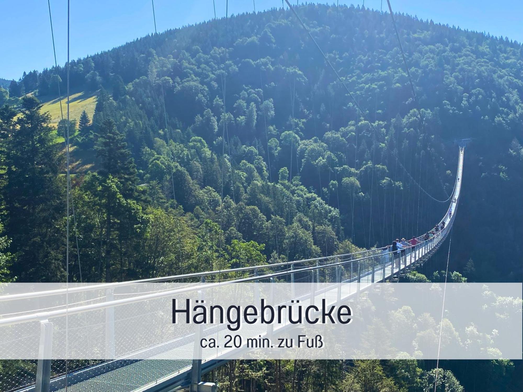 Herzgruen Direkt An Traumhaften Wanderwegen Balkon Mit Toller Aussicht Sauna Im Haus Tiefgarage E-Ladestation Todtnauberg Exterior photo